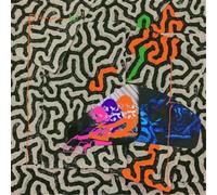 Animal Collective – Tangerine Reef – Vinyle 2LP + MP3 – Domino