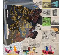 Animal Collective – Time Skiffs – Vinyle – Édition exclusive rouge translucide