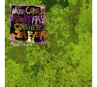 Animal Collective - Water Curses