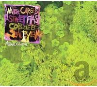 Animal Collective – Water Curses – Import (Domino)