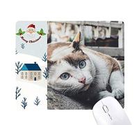animal coloré cat photo photo cadeau de noël maison tapis de souris