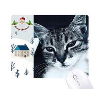 animal cool gray cat photo cadeau de noël maison tapis de souris