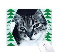 animal cool gray cat photo tapis de souris green pine tree tapis en caoutchouc