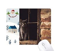 animal corner cat photo photo cadeau de noël maison tapis de souris