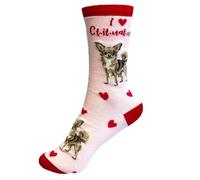 Animal Crackers Chaussettes I Love Dogs, Chihuahua., taille unique