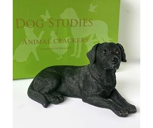 Animal Crackers Figurine Labrador noir couché de la collection Dog Studies - 16,5 cm - Coffret cadeau