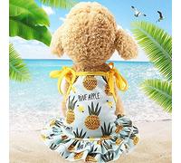 Animal de Compagnie Paulclub Fruit Pet T-Shirt imprimé de Chiot de Chat Mignon Jupe Fruit, Taille: XS (Vest-Ananas) (Color : Skirt-Pineapple)