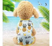 Animal de Compagnie Paulclub Fruit Pet T-Shirt imprimé de Chiot de Chat Mignon Jupe Fruit, Taille: XS (Vest-Ananas) (Color : Vest-Pineapple)