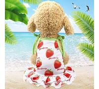 Animal de Compagnie Paulclub Fruit Pet T-Shirt imprimé de Chiot de Chat Mignon Jupe Fruit, Taille: XS (Vest-Ananas) (Color : Skirt-Strawberry)