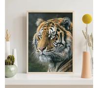 Animal Diamond PaintingTigre Peinture Diamant Adulte DIY Strass Point de Croix Peinture pour Adulte Débutant, Perle Diamant Broderie Convient Pour La Décoration Murale à La Maison 40x50cm PjY430 I-8