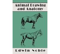 Animal Drawing And Anatomy