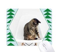 animal drôle action cat tire tapis de souris green pine tree tapis en caoutchouc