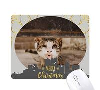 animal drôle de chat photographie tire la nuit de noël, tapis de souris en caoutchouc