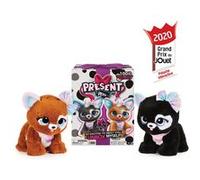Présent paillettes arc-en-ciel pour animaux de compagnie
