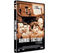 Seven7 Animal Factory