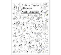 Animal Footprints of Eastern North America Poster - Wildlife Tracks Identification Educational Wall Art | Perfect for Classroom, Nature Center, Home Office(Framed,12x18inch(30x45cm))