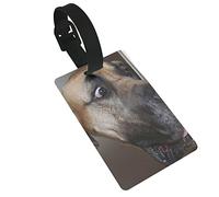Animal Great Dane Chiens Museau Drôle Dashund Amoureux des Chiens Étonné Labrador 2 Pièces Étiquettes de Bagage, Couverture de Confidentialité Étiquette d'Identification Boucle et Carte d'Adresse po