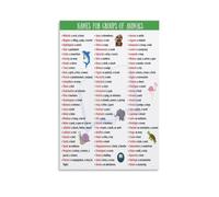 Animal Group Terminology Poster Group Names For Animals Collective Nouns Canvas Wall Art for Classroom Study Library Home Office Decor(Unframed,08x12inch(20x30cm))