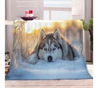Animal Husky Adulte et Enfant Couverture Plaid Flanelle Blanc Couverture de Jeté, Polaire Moelleuse Chaudes Légères Hiver&Automne Couvertures pour Voyager, Lit ou Canapé 200x220 cm