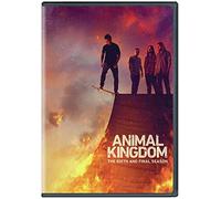 Animal Kingdom – Finn Cole, Jake Weary, Leila George, Ben Robson – DVD – Saison 6 finale (2022)