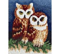 Animal Kit De Crochet Chouette De Dessin Animé Kits De Crochet À Loquet Tapis Pour Adultes Débutants Set Fabrication De Tapisserie À Faire Soi-Même Travaux D'Aiguille Pour La Décoration 31x63in