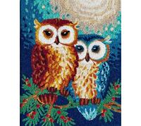 Animal Kit Tufting Complet Chouette Fantastique Kit De Crochet À Faire Soi-Même，Ensemble De Broderie，Fabrication De Tapis，Kits De Toile，Travaux D'Aiguille，Artisanat Pour La Décoration I 23x16in