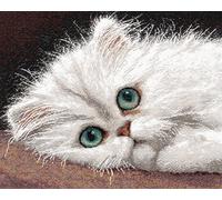 animal Latch Hook Rug Kits for Adults Beginners,Un joli chat blanc,DIY with Printed Canvas Crochet Yarn Handmade Embroidery Crafts Crochet for Home Decoration,60x90cm