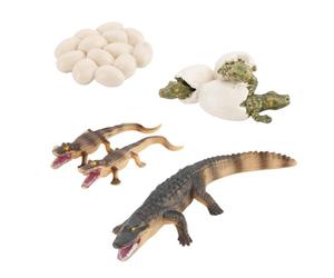 Animal Life Cycle Toys | Crocodile Growth Cycle Figure Set | Educational Animal Development Model Toy | Preschool Learning Science Kit | Classroom Teaching Aid for Kids Kindergarten School Home Study