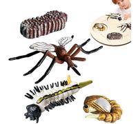 Animal Life Cycle Toys - Life Cycle Figurines Educational Toy Set | Realistic Animal Growth Cycles Models | Butterfly Turtle Frog Ant Learning Science Figures for Kids | Educational Toy