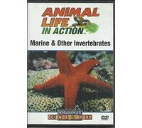 Animal Life in Action - Marine & Other Invertebrates
