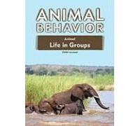 Animal Life In Groups