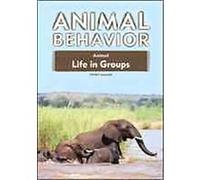 Animal Life in Groups, Animal Behavior Series Toney Allman (Auteur)