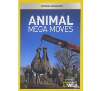 Animal Mega Moves