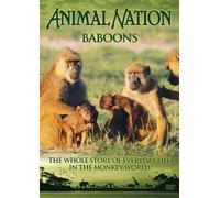 Animal Nation - Animal Nation - Baboons: the Whole Story [Import anglais]