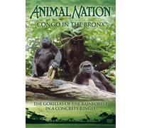 Animal Nation - Animal Nation - Congo in the Bronx [Import anglais]