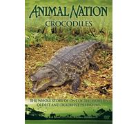 Animal Nation - Animal Nation - Crocodiles: the Whole Story [Import anglais]