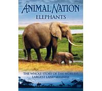 Animal Nation - Animal Nation - Elephants: the Whole Story [Import anglais]