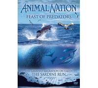 Animal Nation - Animal Nation - Feast of Predators: the Sardine Run [Import anglais]