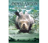 Animal Nation - Animal Nation - Forgotten Rhino [Import anglais]
