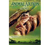 Animal Nation - Animal Nation - Frogs [Import anglais]