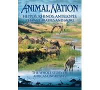 Animal Nation - Animal Nation - Hippos, Rhinos, Antelopes, Zebras, Giraffes [Import anglais]