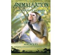 Animal Nation - Animal Nation - My Favourite Monkey: Macaques [Import anglais]