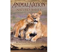 Animal Nation - Animal Nation - Nature's Babies: Bonding in the Wild [Import anglais]