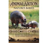 Animal Nation - Animal Nation - Nature's Babies: Born in the Wild [Import anglais]
