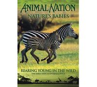 Animal Nation - Animal Nation - Nature's Babies: Rearing Young in the Wild [Import anglais]