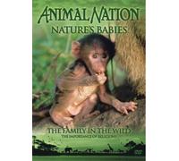 Animal Nation - Animal Nation - Nature's Babies: the Family in the Wild [Import anglais]