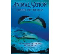 Animal Nation - Animal Nation - Riddle of the Rays [Import anglais]