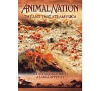 Animal Nation - Animal Nation - the Ant That Ate America [Import anglais]
