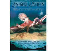 Animal Nation - Animal Nation - the Octopus's Garden [Import anglais]