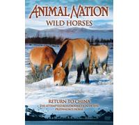Animal Nation - Animal Nation - Wild Horses: Return to China [Import anglais]